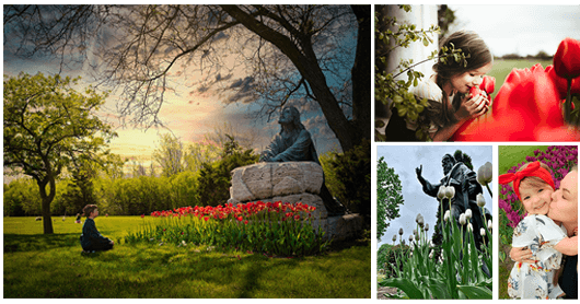 The Tulip Festival Photography Contest